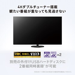 【2023年売り切り！】Panasonic パナソニック TH-65HZ1000 概要 4K有機ELテレビ TH-65HZ1000 | テレビ（ビエラ） | Panasonic