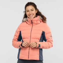 ヨドバシ.com - サロモン SALOMON STORMCOZY JACKET W LC1381800 BRICK