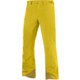 BRILLIANT PANT M LC1433500 LEMON CURRY Lサイズ(股下 83cm) [スキーウェア パンツ メンズ]