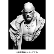 YH1860 中世前期 北欧 胸像 バルト海の民 ヴァイキング [1/10スケール レジン製バストモデル]
