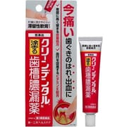 クリーンデンタルN 16g [第3類医薬品 口中薬]