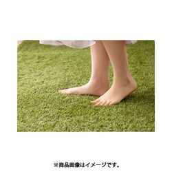 ヨドバシ.com - アイリスオーヤマ IRIS OHYAMA BP-3025 [防草人工芝 2m