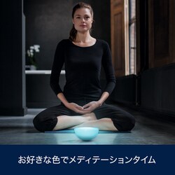 ヨドバシ.com - フィリップス PHILIPS PLH33HG [Philips Hue Go