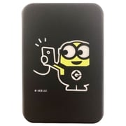 フラッシュパワーチャージャー 5000mAh 2.0A ミニオンズ B MINI-207B
