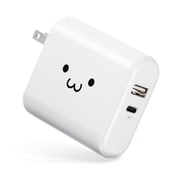 モバイルバッテリー リチウムイオン電池 AC一体型 3A Type-C出力1ポート/USB-A出力1ポート PSE適合 5000mAh ホワイトフェイス DE-AC03-5000WF