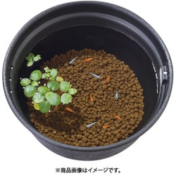 ヨドバシ.com - GEX ジェックス メダカ水景 ろ過する赤玉土 2.5L 通販【全品無料配達】