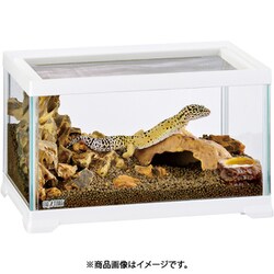 ヨドバシ.com - GEX ジェックス EXOTERRA エキゾテラ エキゾテラ