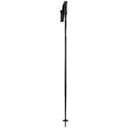 ALPINE CLASSIC 18mm 0B081200001110 BK/RD 110cm 2本セット [スキー ストック 一般]