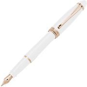 イプシロン スタジオーネ コルチナ 冬 万年筆 両用式 M(中字) B11PW M