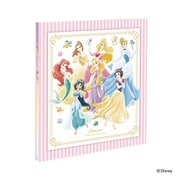プラコート フリー L ディズニープリンセス A-LP-143