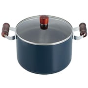 シチューポット 22cm IH対応 ネイブルー RA-9218