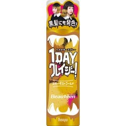 ヨドバシ.com - ホーユー hoyu ビューティーン ビューティーン
