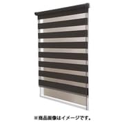 調光ロールスクリーン ゼブライト 60×190cm ブラウン L2055