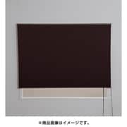 L6401 [ハニカムプリーツシェード 彩 遮光タイプ 40×135cm ブラウン]