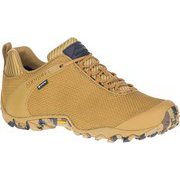 CHAMELEON 8 STORM GORE-TEX J035547 BUTTERNUT US10(28cm) [ハイキングシューズ メンズ]