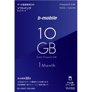 BS-IPAPC-10G1MM [b-mobile 10GB プリペイドSIM データ通信専用 (ソフトバンク対応/iPad用マイクロ)]