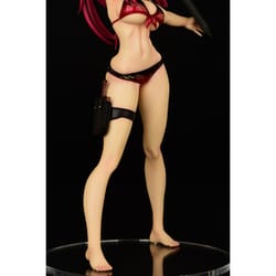 FAIRY TAIL エルザ・スカーレット・水着Gravure_Style/ver.炎 1