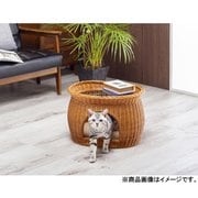 FL03865 [ラタン2wayペットテーブルハウス]