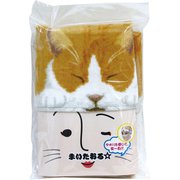 AR0528012 [まいたおる☆ 猫をかぶる]