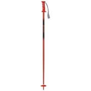 ペアポール 301204 レッド 95cm 2本セット [スキー ストック ジュニア]