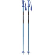 ペアポール 301214 ブルー 95cm 2本セット [スキー ストック ジュニア]