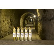 東力士 平成ヴィンテージ大吟醸セット 200ml×5本 [日本酒]