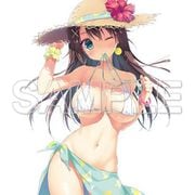 おとなの萌王 夏の妄想水着デート [キャラクターグッズ]