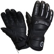 COMP T84916 Bk/Slv Lサイズ [スノー グローブ]