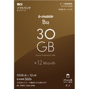 BS-IPNPC-30G12MN [b-mobile Biz プリペイドSIM データ通信専用 (ソフトバンク対応/iPhone用ナノ)]