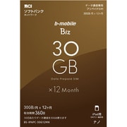 BS-IPAPC-30G12MN [b-mobile Biz プリペイドSIM データ通信専用 (ソフトバンク対応/iPad用ナノ)]