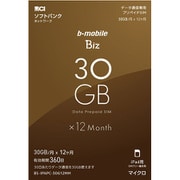 BS-IPAPC-30G12MM [b-mobile Biz プリペイドSIM データ通信専用 (ソフトバンク対応/iPad用マイクロ)]