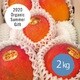 【ギフト】沖縄県産アップルマンゴー 2kg [冷蔵品]