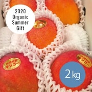 【ギフト】沖縄県産アップルマンゴー 2kg [冷蔵品]