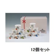 93027 【ギフト】アイスクリーム「VANAGA」12個セット [ご注文期間は2023年1月31日（火）まで]