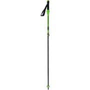 CB PRO VARIO JP グリーン2 CBPVJP GRN2 KO2-CBPVJP-GR2 Green 2本セット [スキー ストック 伸縮式]