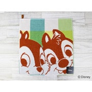Disney チェッカーボード+2 ウォッシュタオル 34cm×35cm グリーン 38-1111080G