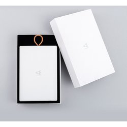 ダイキン　DSA10W-W 電気脱臭機　ループストリーマ　新品未使用！ ダイキンDAIKIN DSA10W-W コードレス脱臭機 ループストリーマ