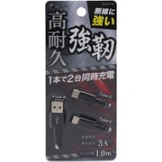 強靭ケーブル 3A Type-A/Type-C×2 1.0m ブラック BUSACC100BK