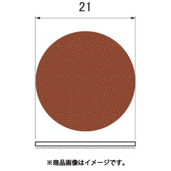 HDP2100 [ポリモンドダイヤディスク]