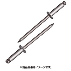 ブラインドリベット エコパック ステンレス/ステンレス 4-8 （30本入） NST48MP