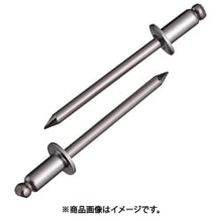 ブラインドリベット エコパック ステンレス/ステンレス 6-4 （15本入） NST64MP