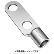 RD10012JP [二つ穴端子（RD形）]