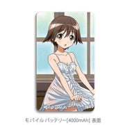 キャラクターグッズ ストライクウィッチーズRtB 描き下ろしモバイルバッテリー 宮藤芳佳&リネット・ビショップ