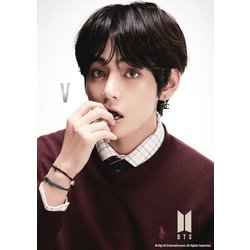 41-306 BTS（防弾少年団） MAP OF THE SOUL：7 -V- [ジグソーパズル 108ピース]