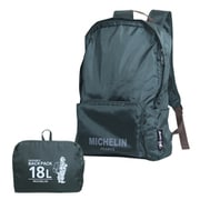 233463 [Packable Backpack/Stormy]