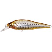 X-80SW エックス80 SW LBO オイルサーディン [ミノー]