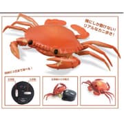 赤外線ラジコン ジャイアントクラブ [ラジコン]