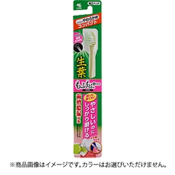 生葉（しょうよう） もふもふ磨けるブラシ 歯ブラシ コンパクトヘッド やわらかめ 1本 歯槽膿漏対策