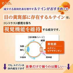 小林製薬 - 専用　ルテイン　60日分 小林製薬の機能性表示食品 ルテイン 60日分 ( 60粒 )/ 小林製薬