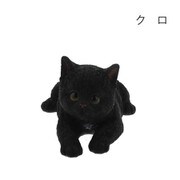 ベニーズキャット QY-116BK